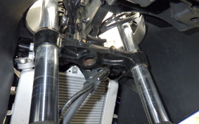 SUZUKI GSX-R125 2013 DL33B