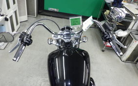 HARLEY FXST1750 2024