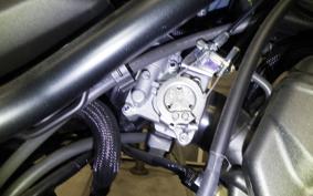 HONDA CL250 2020 MC57