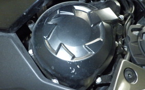 KAWASAKI NINJA 1000SX 2021 ZXT02K