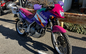 KAWASAKI KLE250 ANHELO LE250A