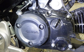 HONDA GROM 2023 JC92