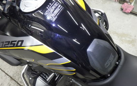 BMW R1250GS 2019