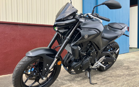 YAMAHA MT-25 RG74J