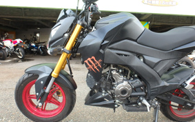 KAWASAKI Z125 PRO BR125H