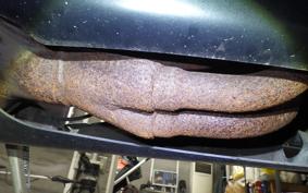 KAWASAKI ZZ-R400 Gen.2 1996 ZX400N