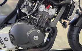 HONDA HORNET 250 MC31