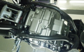 HONDA CRF250L MD47