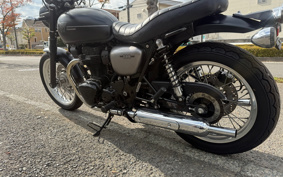 KAWASAKI W800 STREET 2020 EJ800B