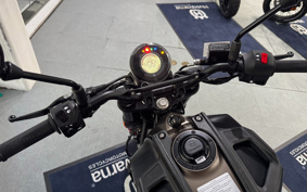 OTHER  HUSQUARNA SVARTPILEN401 HQV401