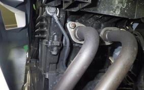 KAWASAKI NINJA 250 EX250L