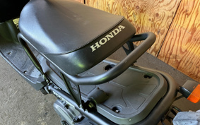 HONDA ZUMAR AF58