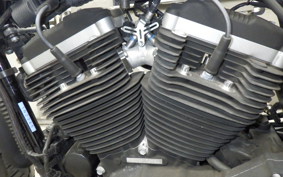 HARLEY XL883N 2010