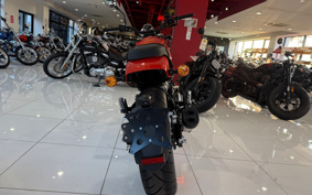 HARLEY X500 2024 W5B