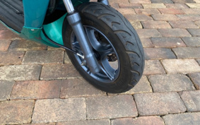 SUZUKI CHORI PASTE  TRIKE 