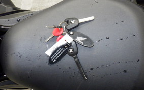 HONDA REBEL 1100 DCT 2022 SC83
