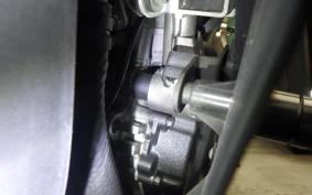 KAWASAKI ZX-4RR 2024 ZX400P