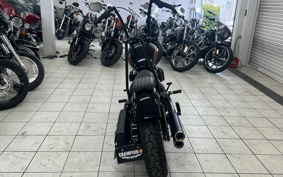 HARLEY FXBBS 2021 YYK