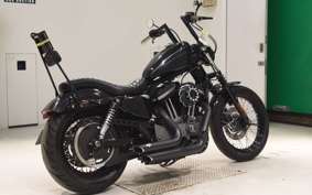 OTHER +HD. XL1200N 2018