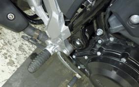 SUZUKI V-STROM 250