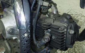 HONDA GORILLA 2020 Z50J