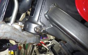 HONDA HORNET 250 2025 MC31