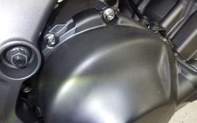 YAMAHA MT-09 2024 RN87J