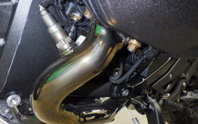 BMW R1300GS ASA 2025