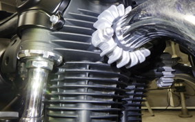 KAWASAKI W800 STREET 2022 EJ800E