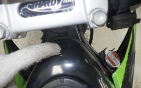 KAWASAKI KLX250D TRACKER LX250E