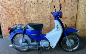 HONDA SUPER CUB110 JA07