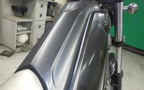 YAMAHA TRICKER 2022 DG10J