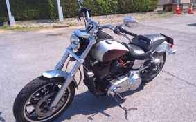 HARLEY FXDL1580 2015 GN4
