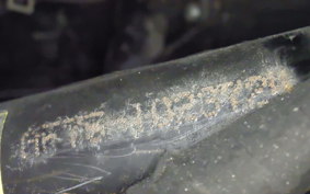 HONDA TACT Gen.4 AF75