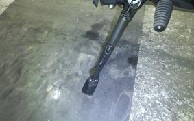 YAMAHA XSR900 GP 2026 RN96J