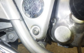 HONDA MAGNA 50 2026 AC13