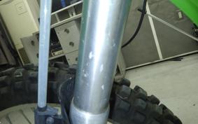 KAWASAKI KLX250 Gen.2 LX250S