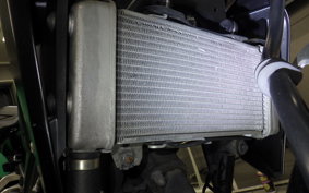 HONDA CB250R 2024 MC52