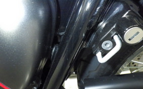 KAWASAKI W800-2ｽﾄﾘｰﾄ 2021 EJ800E