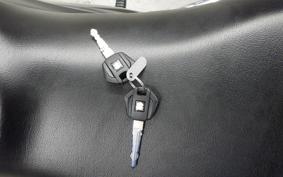 SUZUKI ｼﾞｸｻｰ250SF 2019