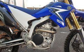 YAMAHA WR250R DG15J