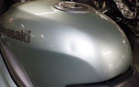 KAWASAKI ZZ-R250 EX250H