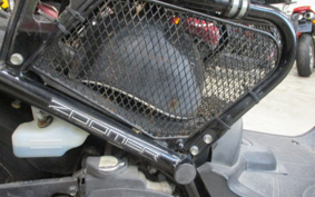 HONDA ZUMAR AF58