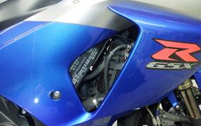 SUZUKI GSX-R1000 2010