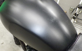 OTHER +MUTTｻﾊﾞｽ250 2023