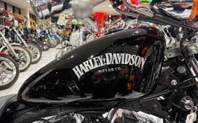 HARLEY XL1200L 2008 CX3