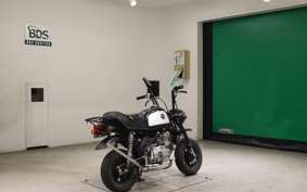 HONDA GORILLA 2024 AB27