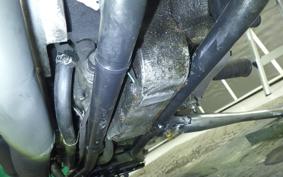 OTHER +UNREGISTERED MODEL by BDS1000 2026