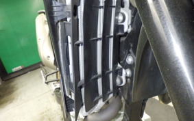YAMAHA WR250X 2020 DG15J
