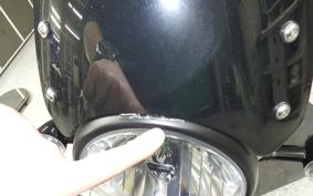 OTHER +ﾄｱｲｱﾝﾌｽﾄﾘｰﾄﾂｲﾝ900 2021